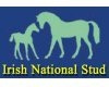 logo national stud