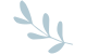 A simple, light blue silhouette of a leafy branch with five elongated leaves on a light grey background.